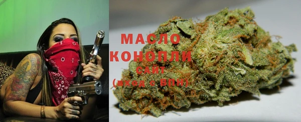 мдпв Майский