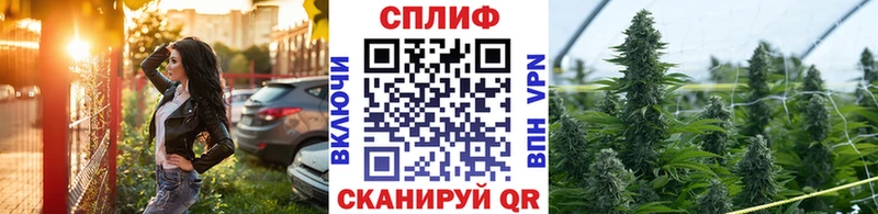 наркотики  Новоузенск  Каннабис OG Kush 